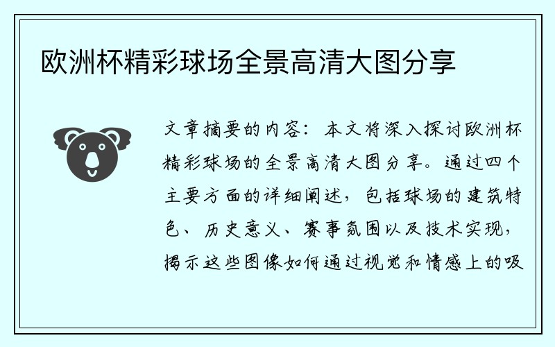 欧洲杯精彩球场全景高清大图分享