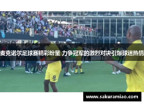 麦克诺尔足球赛精彩纷呈 力争冠军的激烈对决引爆球迷热情
